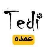 tedi gallery تولید و پخش عمده