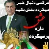 شهیاران حزب خاندان ایرانساز پهلوی ، آریامهر