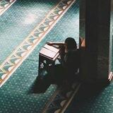 ﴿قُلِ الحَمدُ لِلَّهِ﴾