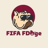 FIFA FDoge Announcement
