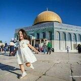 دَعّم النُّخْبَة الفِلَسطِينيَّة 🇵🇸🤍