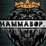 HAMMABOP TV || Rasmiy kanal