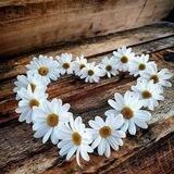 🌼كفَــىٰ بربِّـــــــكَ وكِيــــلاً🌼