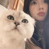 小怡网推毒总群
