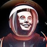 New Community Elon Musk (BSC)