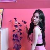@.attravcts