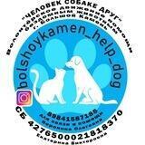 bolshoykamen_help_dog. Помогаем животнымБольшой Камень ❌Не Приют❌ +7984 194-06-22.,+ 7(984) 158-71-85 Будем рады помощи🙏4276
