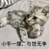 那天我用石头砸了一下张佩服的头