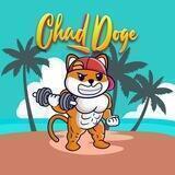 Chad Doge