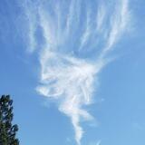 Middle Heaven Mysteries & more