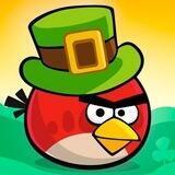 Freebie Crypto Bird