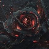 𝙼𝙸𝙳𝙽𝙸𝙶𝙷𝚃