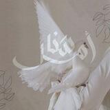 - سَـنا أمـل.