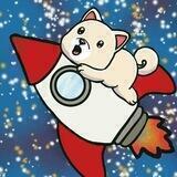 Rocket Kishu