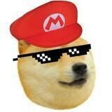 NintenDoge Portal