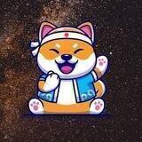 Galaxy Shiba