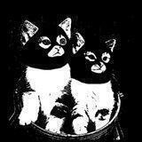 HELLA CUTE CATS