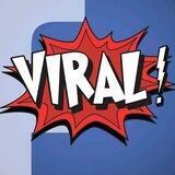 Viral Videos