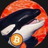 Orca Sinais FREE Cripto