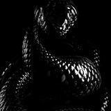 ₦₳Ɽ₵ł₴₴ł₴₮ł₵ ⱠØɄ₮₴