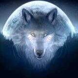 ☎️ Wolf Gems Call 🐺 🇺🇸{ BSC - ERC }