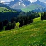 جنّات الخلود 🤍🍃