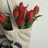 Tulip garden 🌷