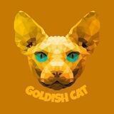 GOLDISH CAT