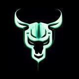 Cyber Bull BSC