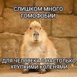 хруст коленей