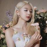  ೀ 🫖˖ ࣪ Echeveria || 에케베리아 .˚🍰ᜊ