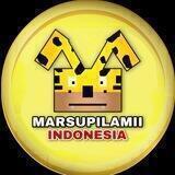 Marsupilamii Indonesia 🇮🇩