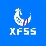 XFLTD养鸡场 - 官网 XFLTD.top