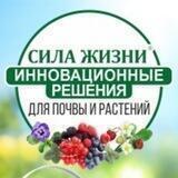 Сила Жизни