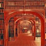 Bibliothek für Unsere Heimath-Irtha