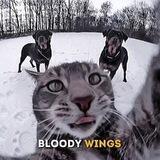 ʙʟᴏᴏᴅʏ ᴡɪɴɢs