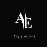 Angry Esports Group