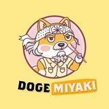 DOGEMIYAGI | Not Matter Who's Stronger. Matter Who's Smarter!