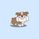 🐕Bulldoge Official Entry