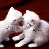 иллюзии вилла и криса.