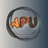 APU INDEX