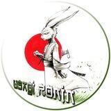 Usagi Ronin 🇯🇵