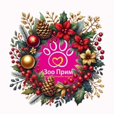 ZooPrim125