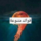 فوائد متنوعة