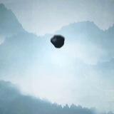 持棍-知识付费（团队发展）