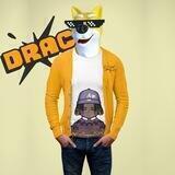 Doge Rocking A Cardigan Portal