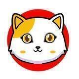 CAT!!! | PORTAL 😺