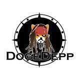 DogeDepp Entry