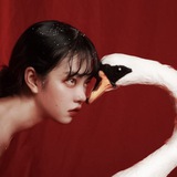 ﹙ࣹ𝖣𝖾𝗏𝖺さ𝗍𝗎𝗍𝗈𝗋𝗂𝖺𝗅 ː 🦢﹚