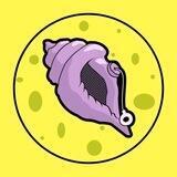 Magic Conch Shell